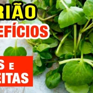 Os Impressionantes Benefícios do Agrião para Saúde e Boa Forma - Como Usar e Receitas