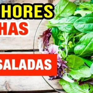MELHORES FOLHAS PARA SALADAS - Mais Saúde, Emagrecimento e Disposição