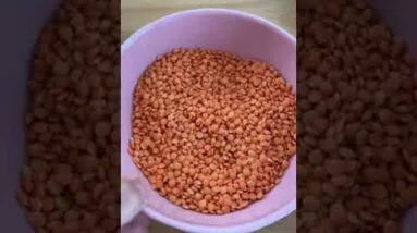 PÃO SÓ LENTILHA E ÁGUA! Não compre mais pão! Fácil, low carb, saudável e vegano!