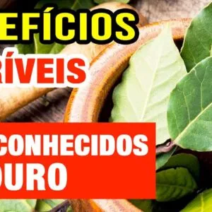 ACONTECE ISSO quando cozinha com LOURO! Benefícios, Chá e Dicas