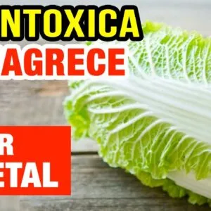DESINTOXICA, EMAGRECE e FORTALECE! Você PRECISA COMER MAIS! Nutritivo e Gostoso!