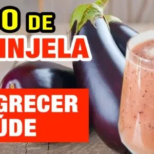O INCRÍVEL SUCO DE BERINJELA para EMAGRECER e Saúde! USE ASSIM! Benefícios e Dicas