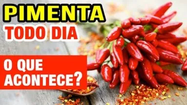 PIMENTA TODO DIA - Veja o que ACONTECE com você! (Use assim!)