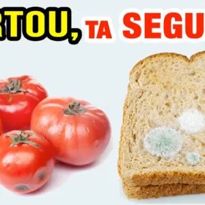 Podemos comer ALIMENTOS MOFADOS após TIRAR O MOFO?