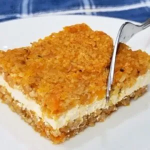 SUBSTITUA A CARNE! É Delicioso, Barato, FÁCIL e SAUDÁVEL! Todos vão adorar!