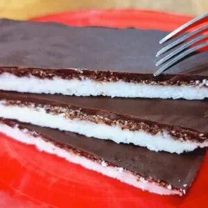 DELÍCIA SEM AÇÚCAR, Poucos Carboidratos, Sem Forno, Fácil e Rápida (Low Carb e Sem Leite)