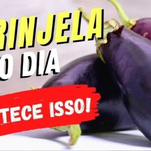 BERINJELA TODO DIA - Veja o que ACONTECE com você! (USE ASSIM!)