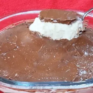 DELÍCIA SEM AÇÚCAR, Fácil, Rápida, Sem Leite Condensado ou Creme de Leite - Saudável e Gostosa