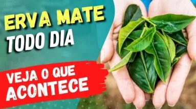 Beber MATE TODO DIA - Veja o que ACONTECE com você! (USE ASSIM!)