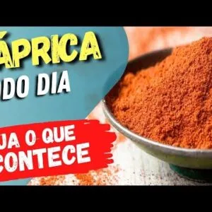 PÁPRICA TODO DIA - Veja o que ACONTECE com você (USE ASSIM!)