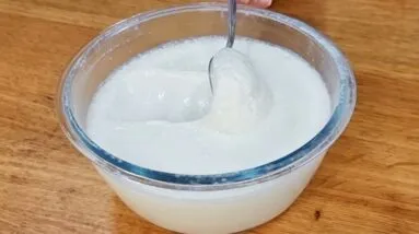 IOGURTE NATURAL CASEIRO - FÁCIL e BARATO - CREMOSO e SAUDÁVEL (Só 2 Ingredientes)