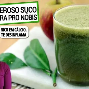 COMECE A TOMAR SUCO DE ORA PRO NÓBIS!  RICO EM FIBRA E CÁLCIO, TE DESINFLAMA! FAÇA CERTO AQUI!