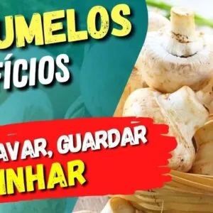 Benefícios dos COGUMELOS - Tipos, Como Lavar, Guardar e Cozinhar - Dicas e Cuidados
