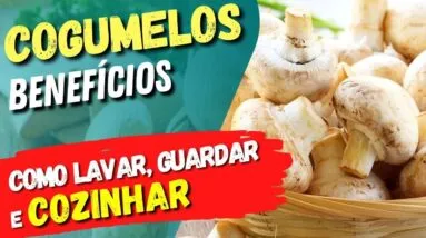 Benefícios dos COGUMELOS - Tipos, Como Lavar, Guardar e Cozinhar - Dicas e Cuidados