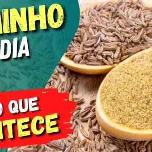 COMINHO TODO DIA - Veja o que ACONTECE com você! (USE ASSIM)