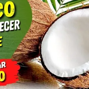 Benefícios do COCO para EMAGRECER e SAÚDE - Como USAR CERTO!  Receitas e Dicas