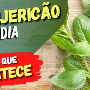 MANJERICÃO TODO DIA - Veja o que ACONTECE com você! (USE ASSIM)