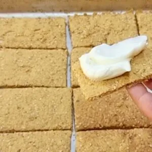 SUBSTITUA O PÃO! Poucos Carboidratos, SEM FARINHA, LEITE, OVO e MANTEIGA - Low Carb Fácil e Rápida