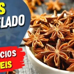 Benefícios do CHÁ DE ANIS ESTRELADO! Você vai querer TOMAR SEMPRE! Como Usar e Dicas
