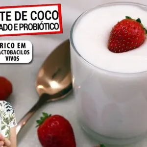 IOGURTE DE COCO FERMENTADO E PROBIÓTICO DE VERDADE! Cremoso e rico em lactobacilos! Veja como fiz!