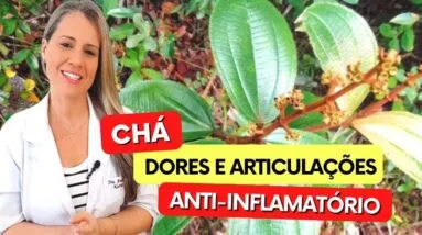 Chá para INFLAMAÇÃO, ARTICULAÇÕES e DORES! Benefícios do Chá de Canela de Velho, Como Tomar e Fazer
