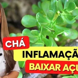 Planta para INFLAMAÇÃO e AÇÚCAR NO SANGUE! Benefícios do Bálsamo, Como Usar (Chá e Suco) e Dicas