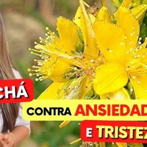 A ERVA Contra ANSIEDADE e TRISTEZA - Benefícios do Erva de São João, Como Tomar, Chá e Dicas