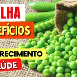 Benefícios da ERVILHA e Como USAR CERTO para Saúde, Emagrecer e Massa Muscular