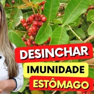 Chá para ESTÔMAGO, IMUNIDADE e DESINCHAR - Benefícios do Chá de Aroeira, Como Usar e Dicas
