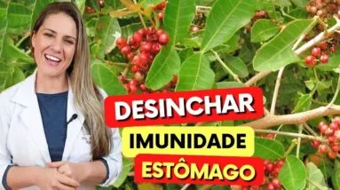 Chá para ESTÔMAGO, IMUNIDADE e DESINCHAR - Benefícios do Chá de Aroeira, Como Usar e Dicas