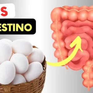 OVOS e INTESTINO - O que você PRECISA SABER!