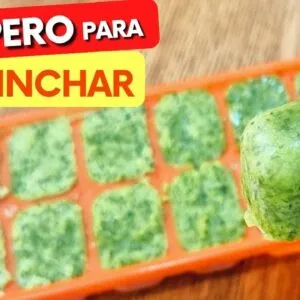 Poderoso para DESINCHAR, SAÚDE e IMUNIDADE! Tempero Caseiro Fácil que você VAI AMAR!