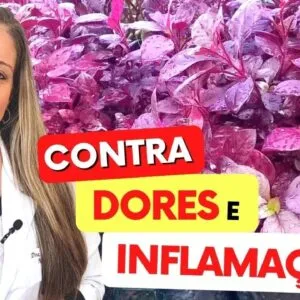 Planta ANTIBIÓTICA e ANALGÉSICA - Farmácia NATURAL para DORES, INFLAMAÇÃO e Mais - Como Usar, Chá,..