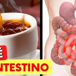 CAFÉ e INTESTINO - O que você PRECISA SABER!