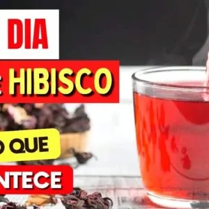 CHÁ DE HIBISCO TODO DIA - Veja o que ACONTECE com você! (USE ASSIM)