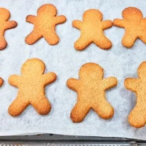 Delícia de Natal BAIXA EM CARBOIDRATOS! Biscoito SEM TRIGO, AÇÚCAR e LEITE - Fácil, Rápido, Low Carb