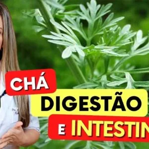 Chá para MÁ DIGESTÃO e PROBLEMAS INTESTINAIS - Benefícios do Chá de Losna, Como Usar e Dicas