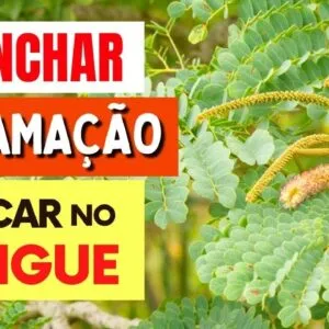 Planta para DESINCHAR, INFLAMAÇÃO e AÇÚCAR NO SANGUE - Benefícios do Barbatimão, Como Tomar, Chá,...