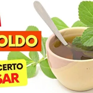 CHÁ DE BOLDO - A forma CERTA de USAR - Benefícios e Cuidados