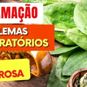 Chá para INFLAMAÇÃO, PROBLEMAS RESPIRATÓRIOS E IMUNIDADE - Benefícios do Chá de Tanchagem, Como Usar