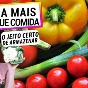 O JEITO CERTO DE ARMAZENAR SEUS VEGETAIS! NÃO ESTRAGA, SEM INSETOS, MENOS DESPERDÍCIO!