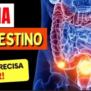 AVEIA e INTESTINO - O que você PRECISA SABER!