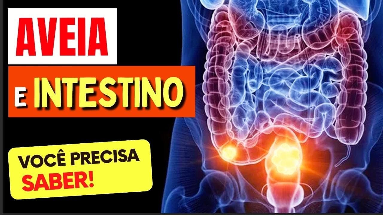 AVEIA e INTESTINO – O que você PRECISA SABER! | Saudável Receita ...