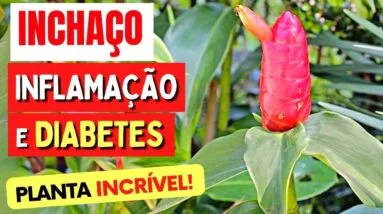 Planta para INFLAMAÇÃO, INCHAÇO, DIABETES, PRESSÃO e RINS - Benefícios do Chá de Cana-do-Brejo
