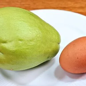 JANTAR DELICIOSO, FÁCIL, BARATO e SAUDÁVEL - Poucas Calorias, Sem Trigo e Rápido (na frigideira)