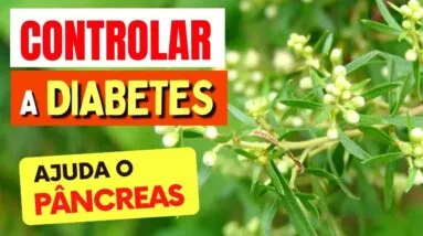 Uma planta para CONTROLAR A DIABETES e ajudar o PÂNCREAS, DIGESTÃO e INFLAMAÇÃO!