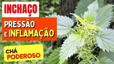 Chá para INCHAÇO, PRESSÃO e INFLAMAÇÃO - Benefícios do Chá de Urtiga, Como Usar e Dicas