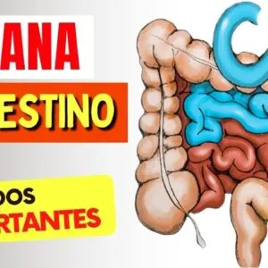 BANANA e INTESTINO - O que você PRECISA SABER! (Prisão de Ventre, Gases e Mais!)