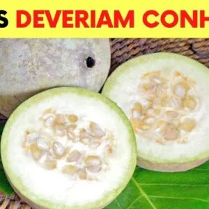 Você Não Imagina que essa FRUTA Possa Fazer Tudo Isso! (Como Usar e Benefícios)