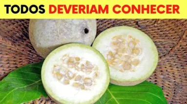 Você Não Imagina que essa FRUTA Possa Fazer Tudo Isso! (Como Usar e Benefícios)